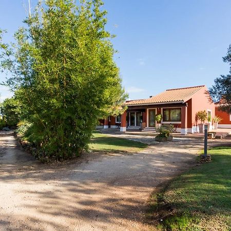 Quinta Da Alquimia Daire Lagos Dış mekan fotoğraf