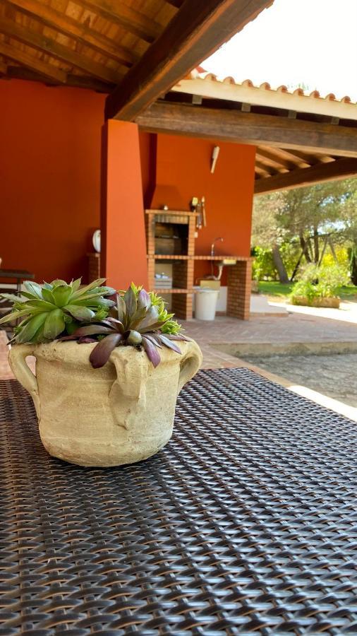 Quinta Da Alquimia Daire Lagos Dış mekan fotoğraf